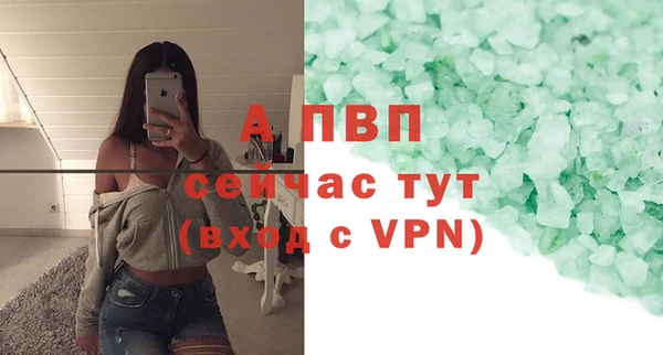 мяу мяу мука Магас