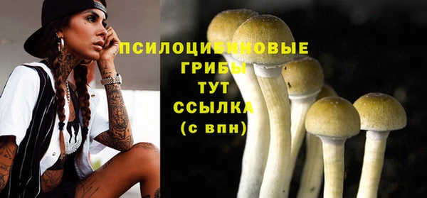 хмурый Майский