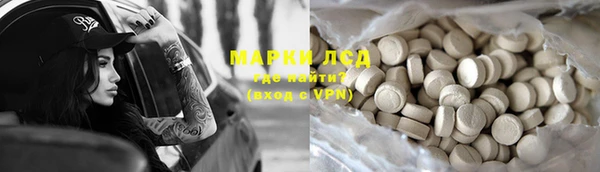 мяу мяу мука Магас