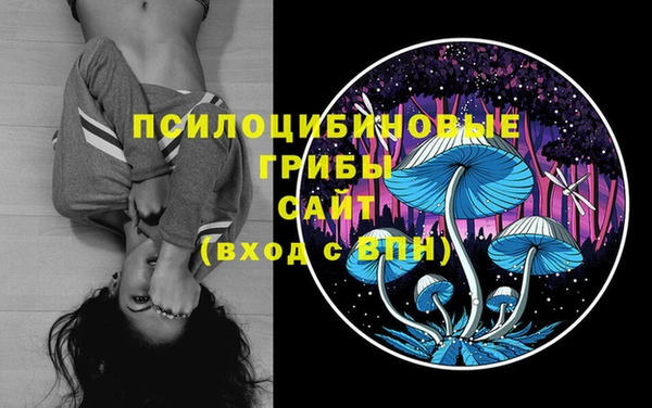 хмурый Майский