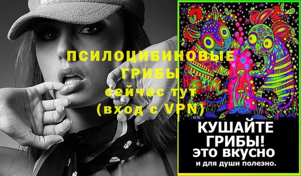 мдпв Магадан