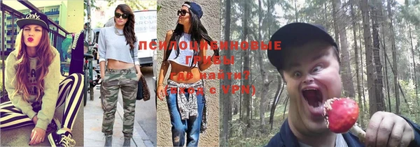 хмурый Майский