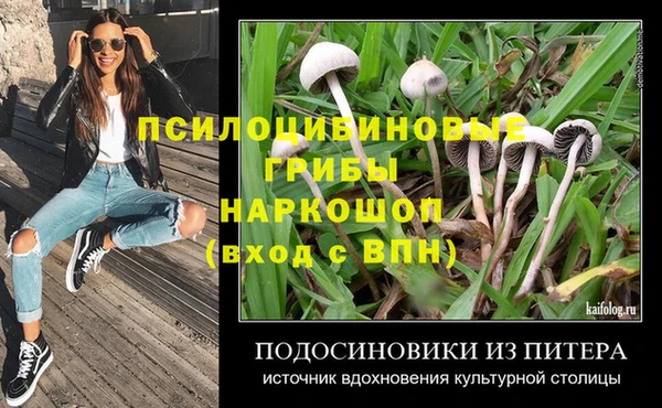 мдпв Магадан