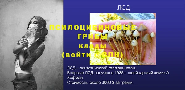 мдпв Магадан